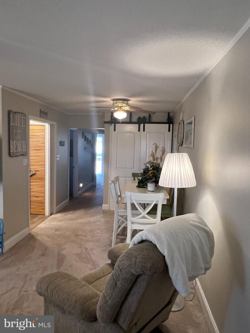 6308 Coastal Highway #101 photo 9