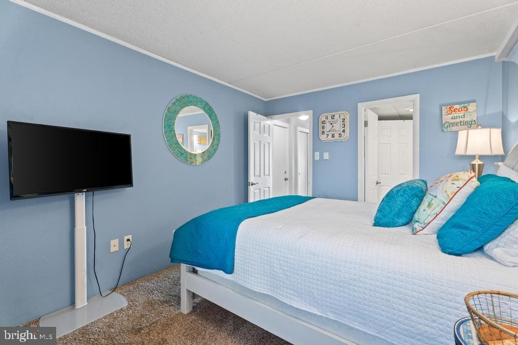 169 Jamestown Road #20601 photo 14