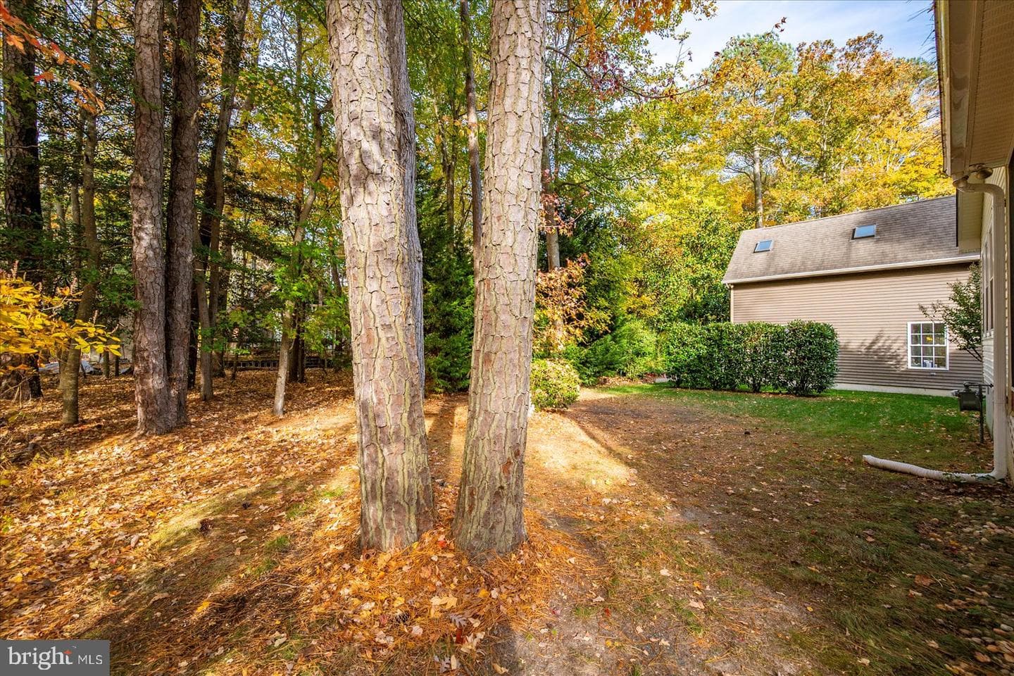 75 Robin Hood Trail photo 57