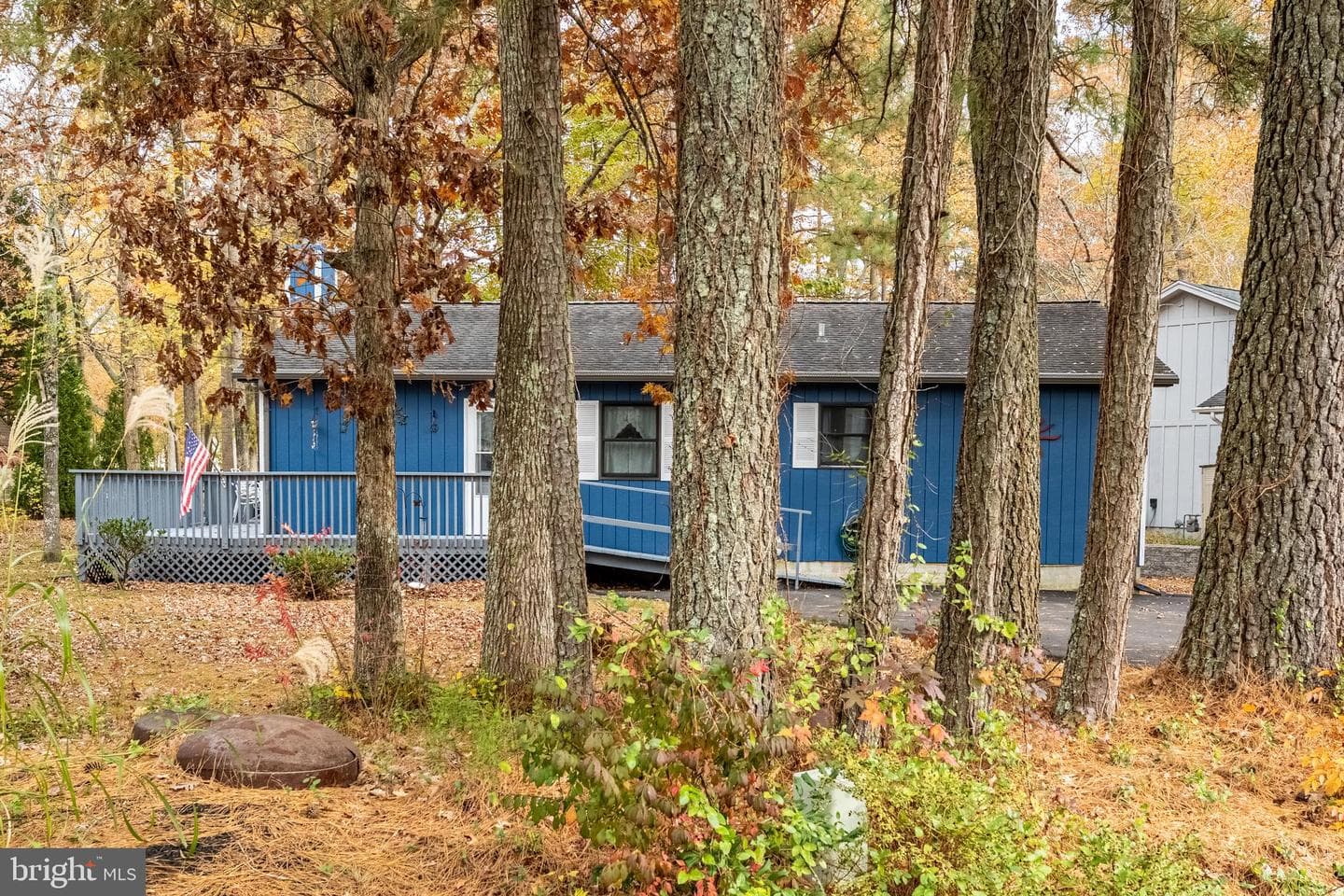 54 Cannon Drive photo 57