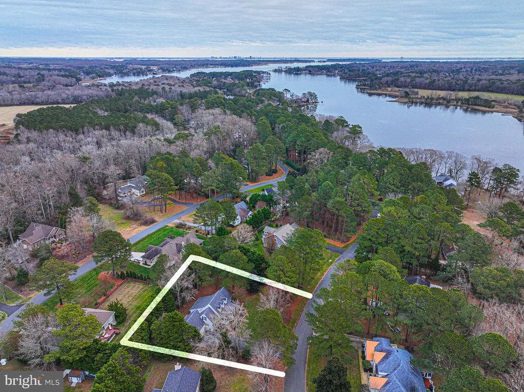 10641 Piney Island Dr photo 3