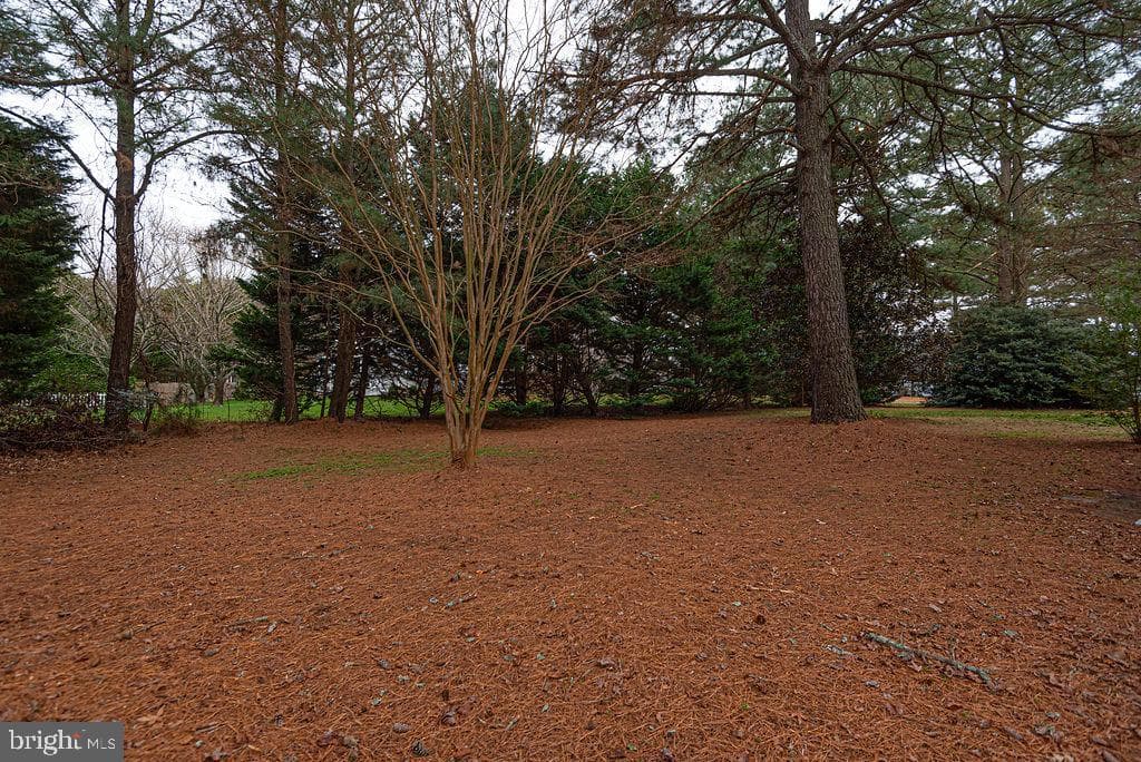 10641 Piney Island Dr photo 70