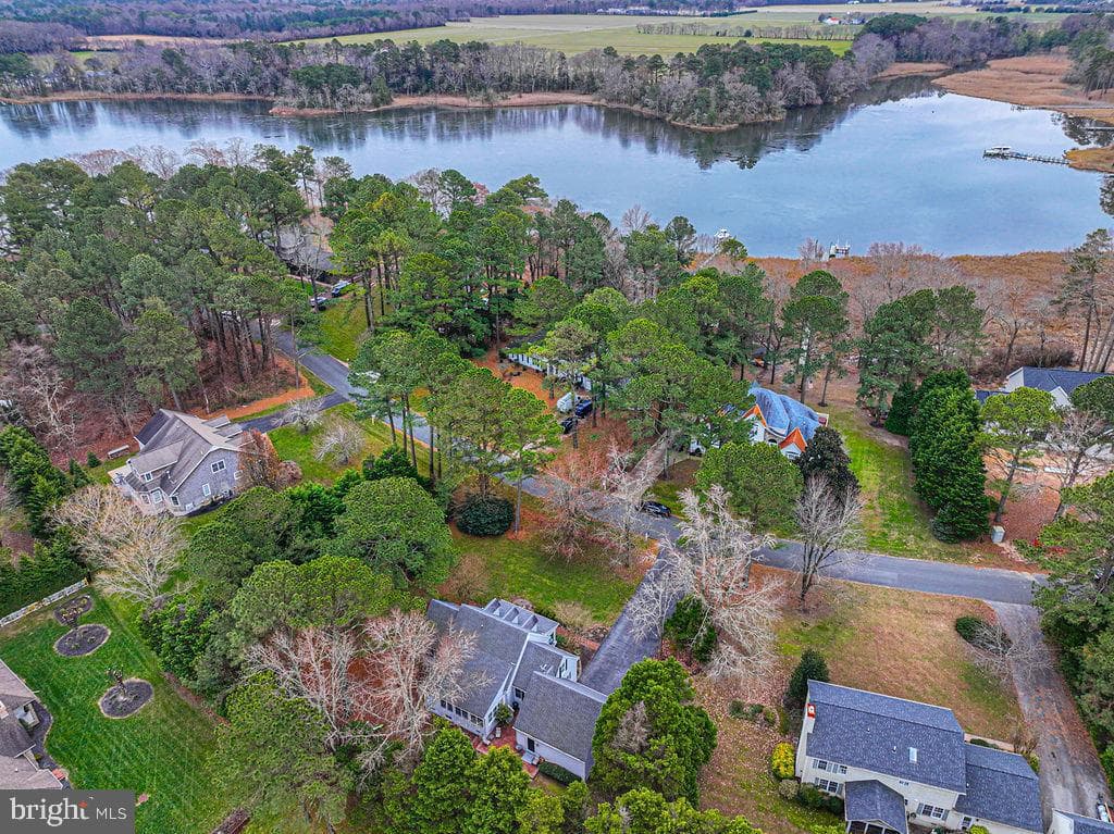 10641 Piney Island Dr photo 77