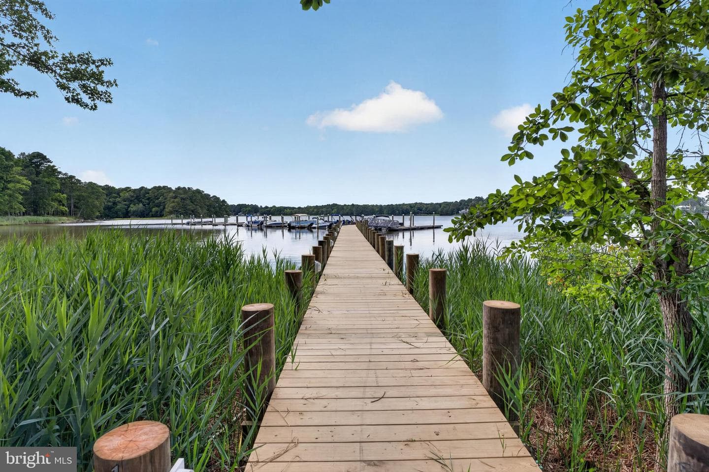 11818 River Run Lane photo 82