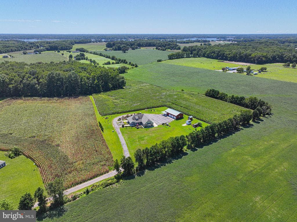 11910 Back Creek Road photo 101