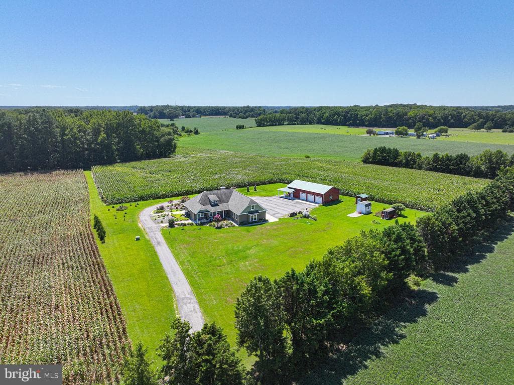 11910 Back Creek Road photo 3