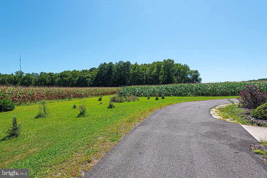11910 Back Creek Road photo 61
