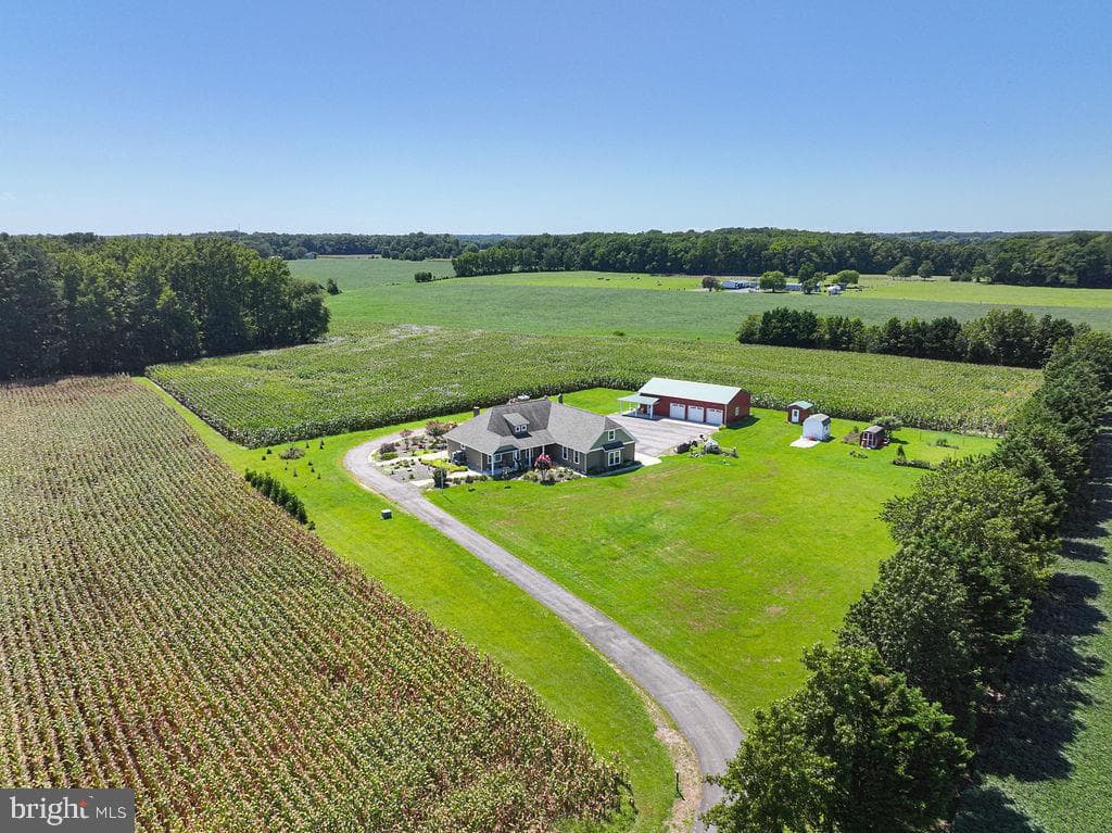 11910 Back Creek Road photo 91