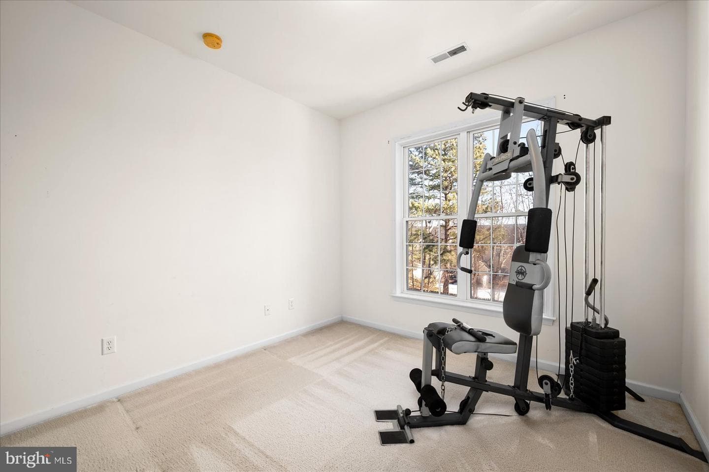 400 Williams Street #12 photo 37