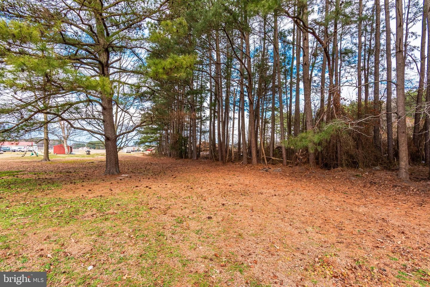 1745 Buck Harbor Road photo 4