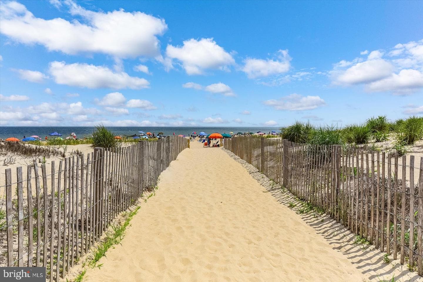13100 Coastal Highway #180402 photo 56