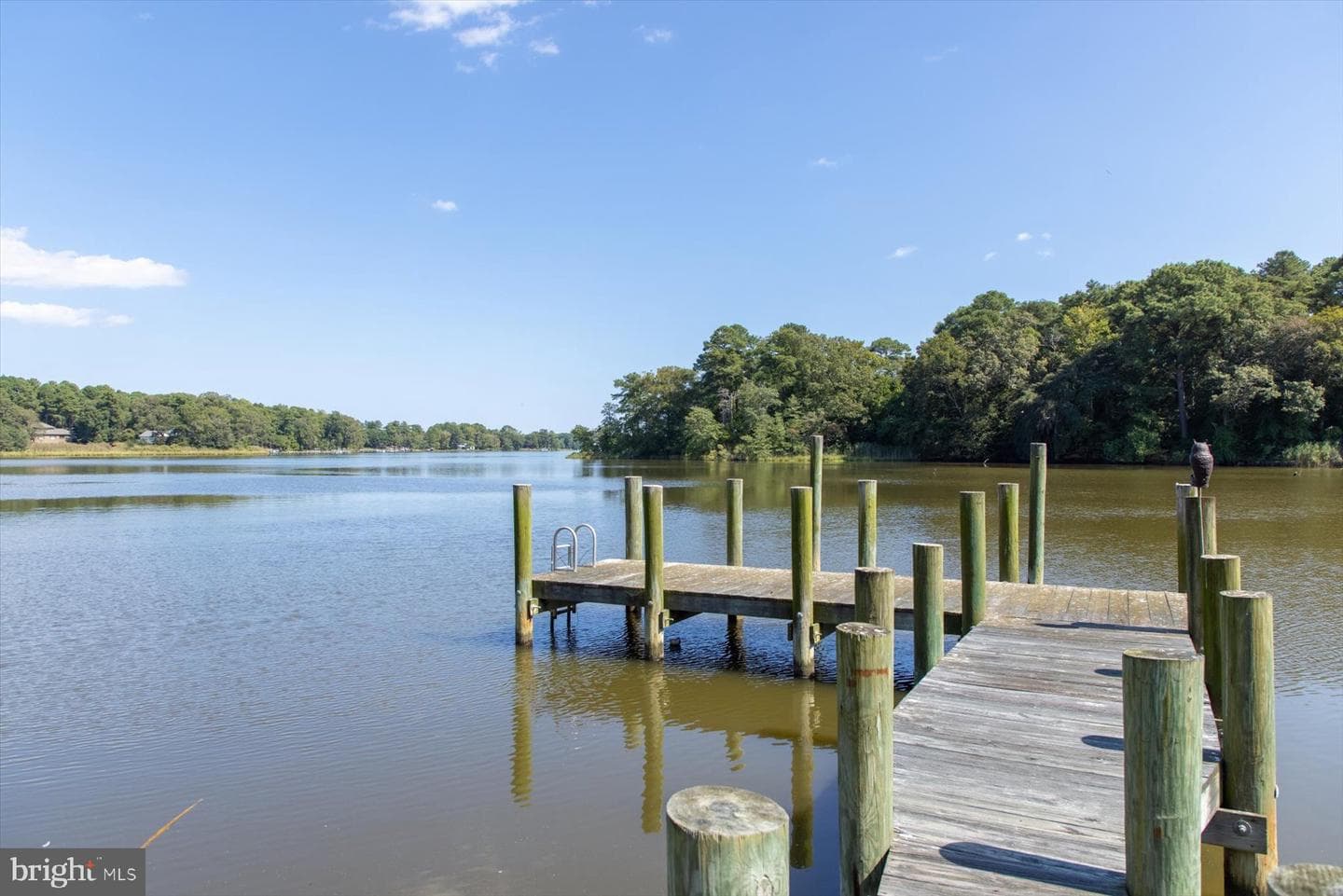 10542 Egret Ct photo 25