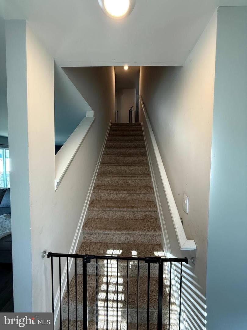 109 Fox Hound Street photo 19