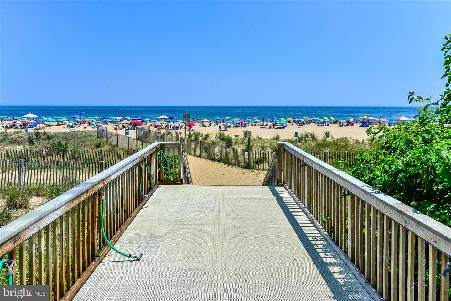 9800 Coastal Highway #1013 photo 62