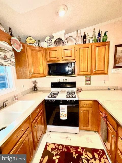 216 Timberline Circle photo 15