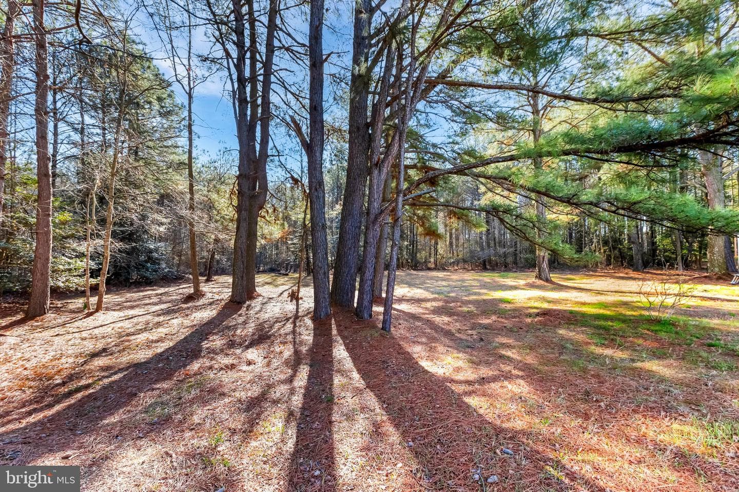 2120 Orchard Drive photo 38