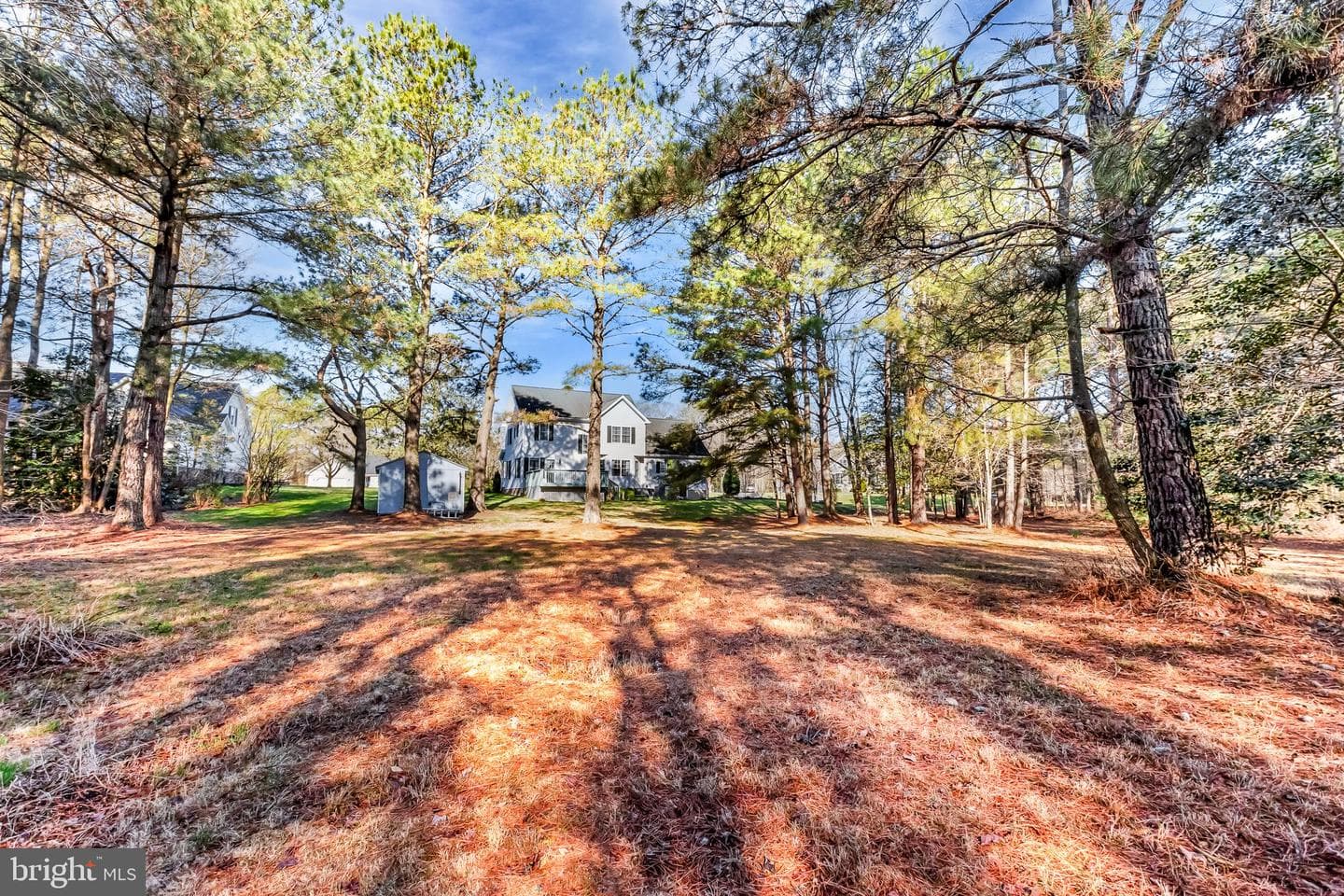 2120 Orchard Drive photo 7