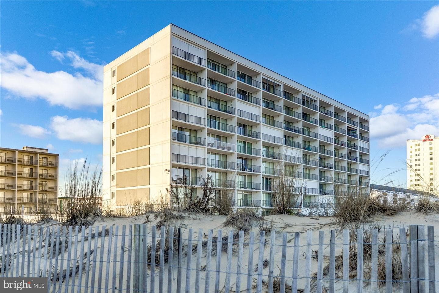 3001 Atlantic Avenue #705 photo 41