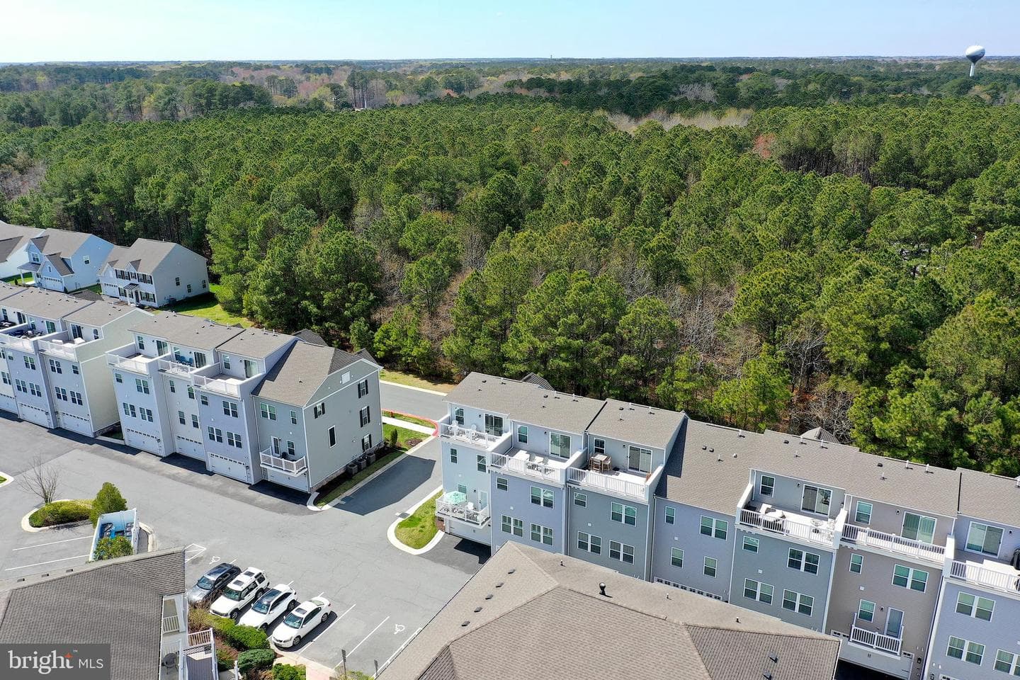 12461 Coastal Marsh Drive #101 photo 101