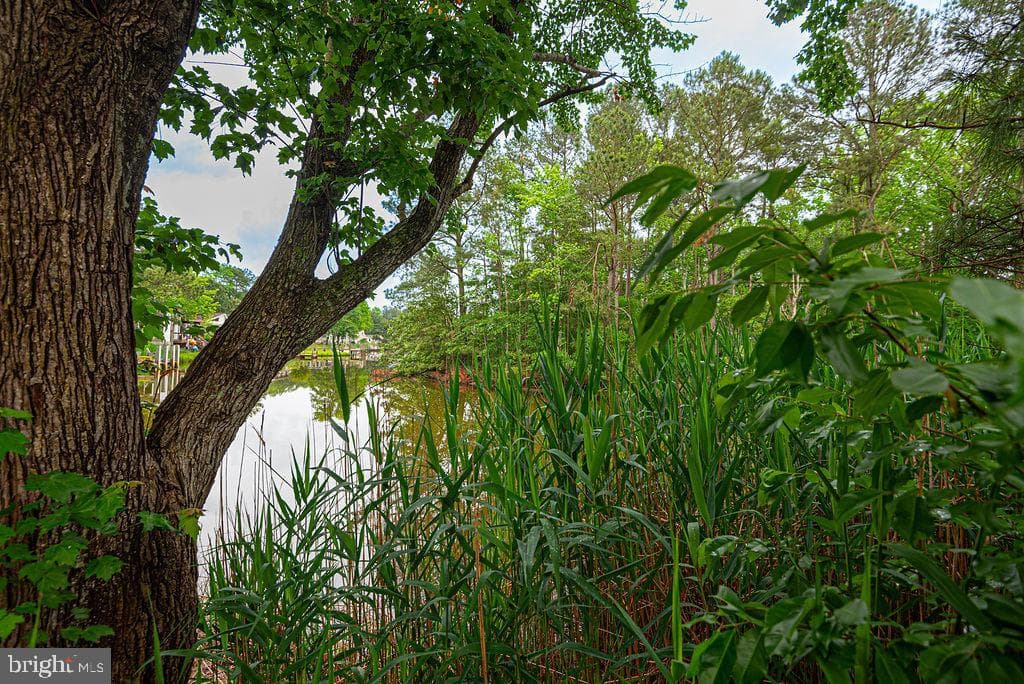 7 Alden Ct photo 64
