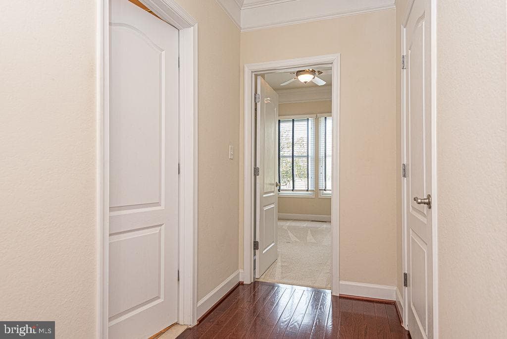 11834 Man O War Lane photo 45