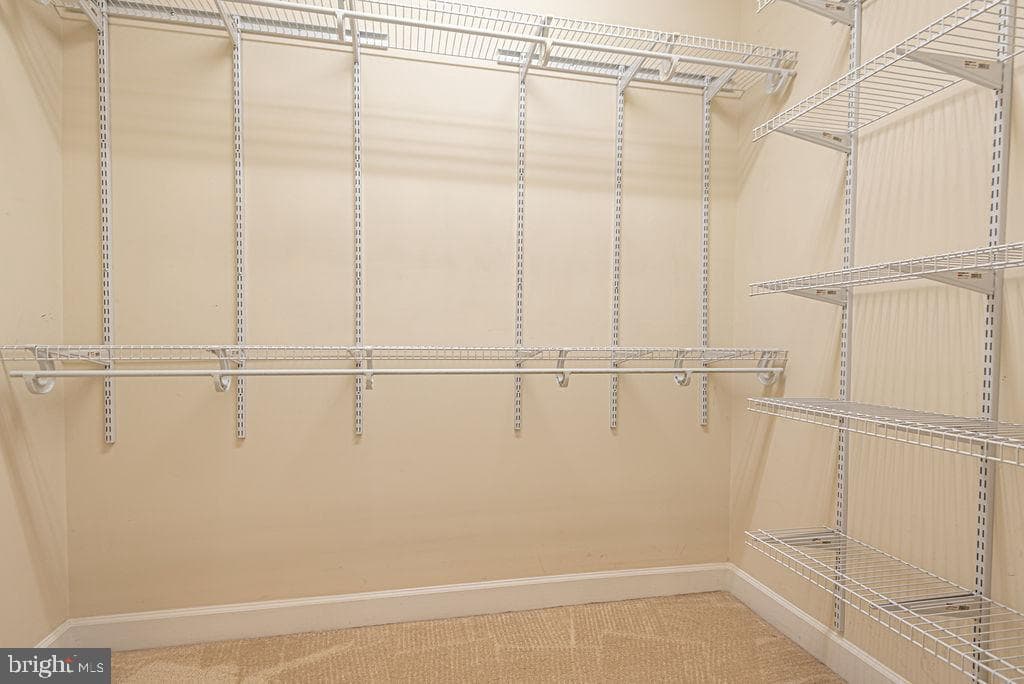 11834 Man O War Lane photo 58
