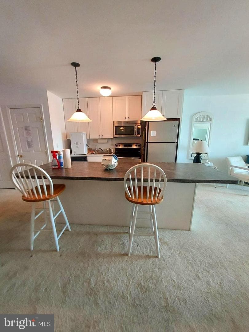 421 Bayshore Drive #102 photo 16