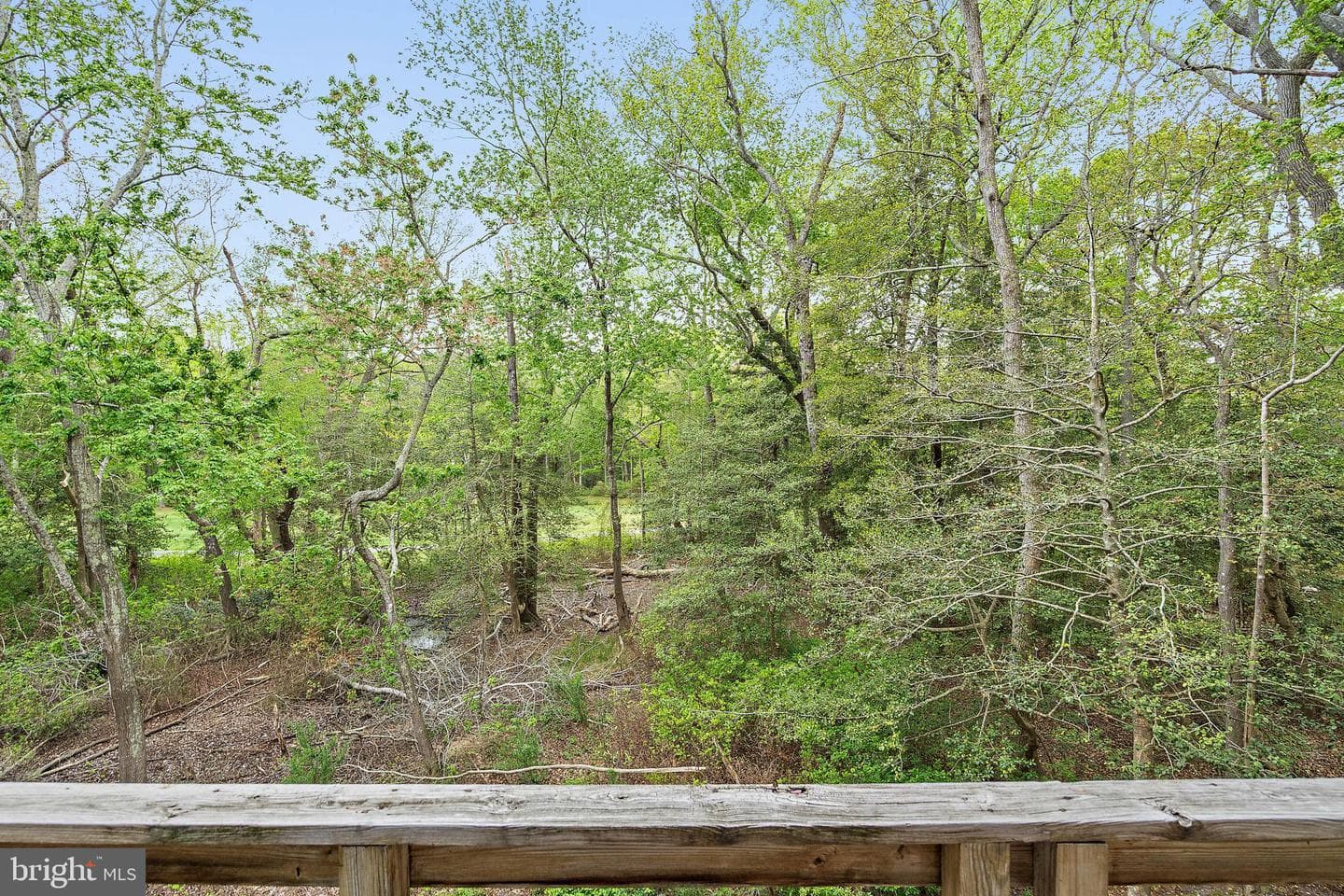 542 Ocean Pkwy photo 44