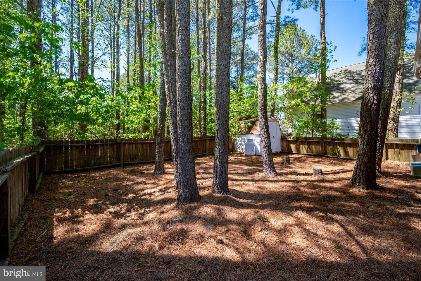 8 Bridgewater Road photo 51
