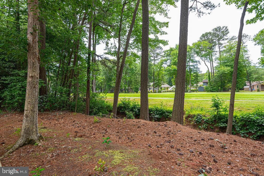 62 Newport Drive photo 23