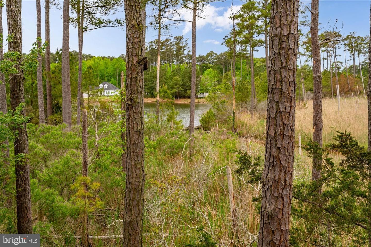 10317 Quarter Deck Ln photo 68