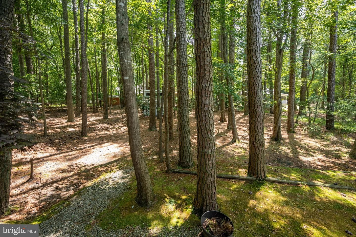 1348 Ocean Parkway photo 45
