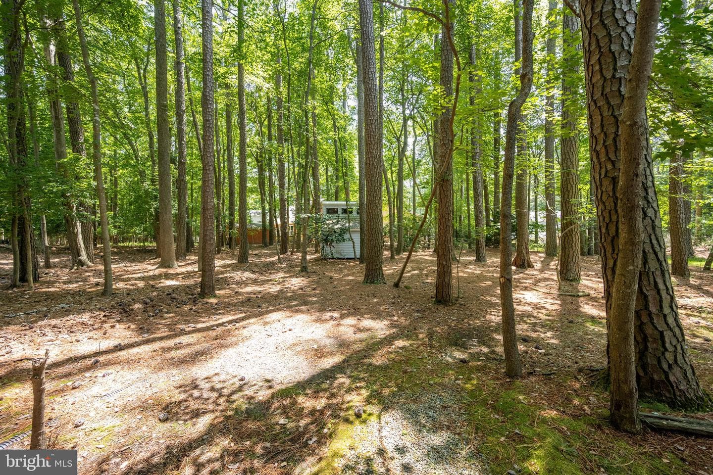 1348 Ocean Parkway photo 47