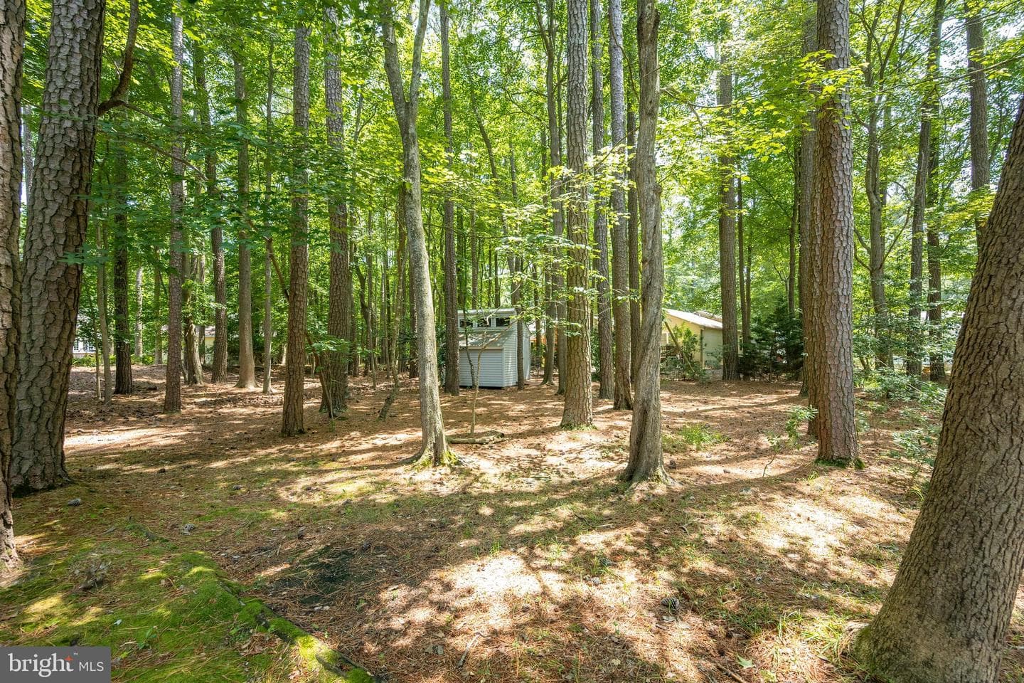 1348 Ocean Parkway photo 54