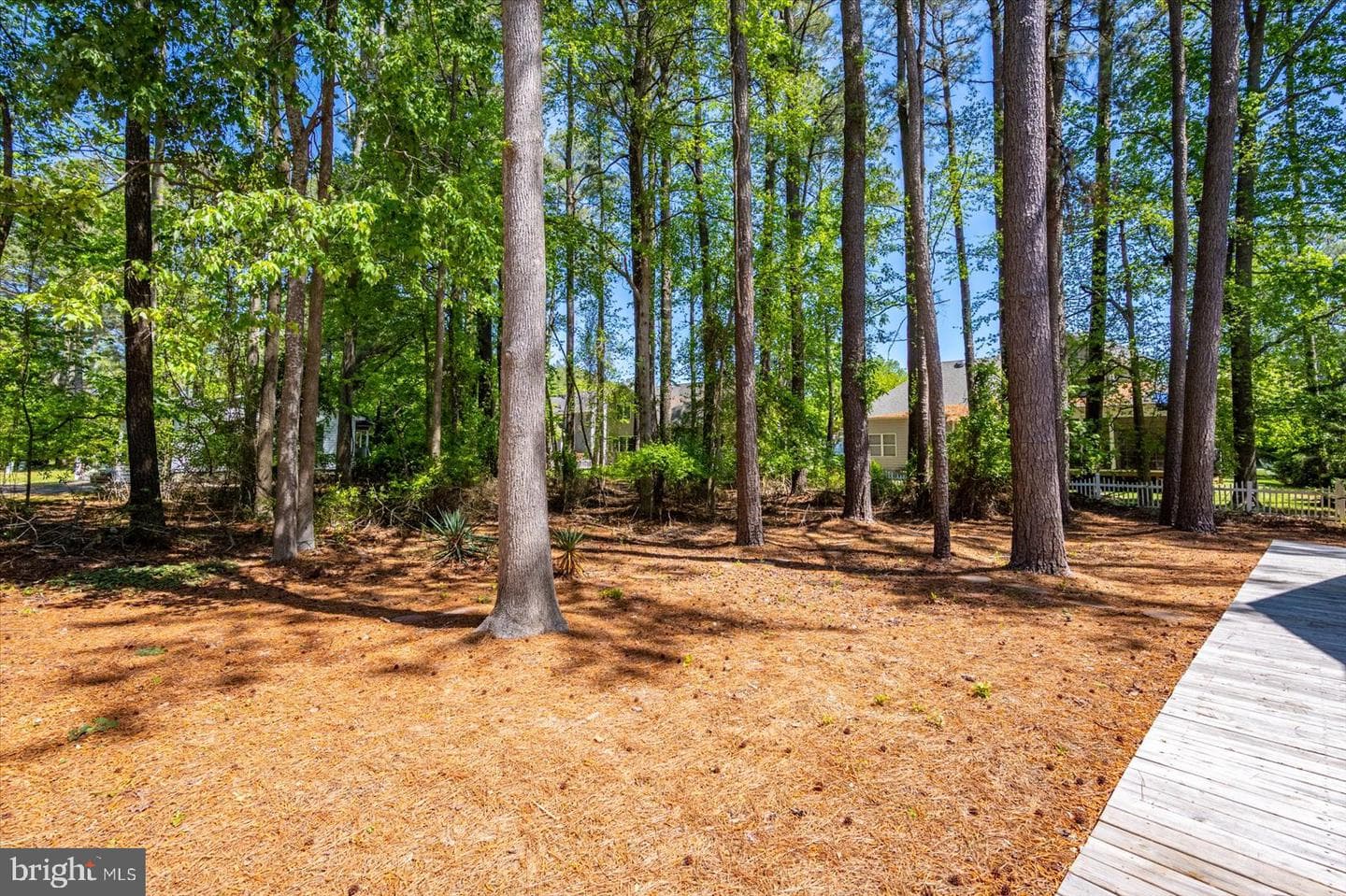 118 Robin Hood Trail photo 11