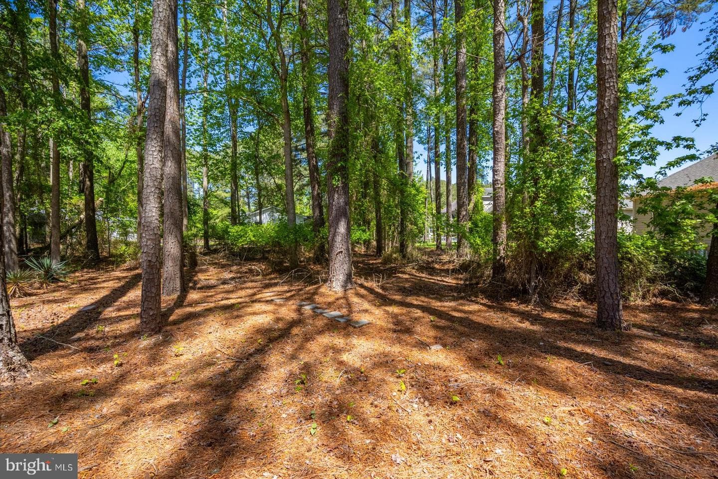 118 Robin Hood Trail photo 64