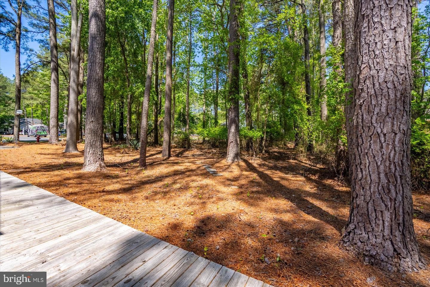 118 Robin Hood Trail photo 65