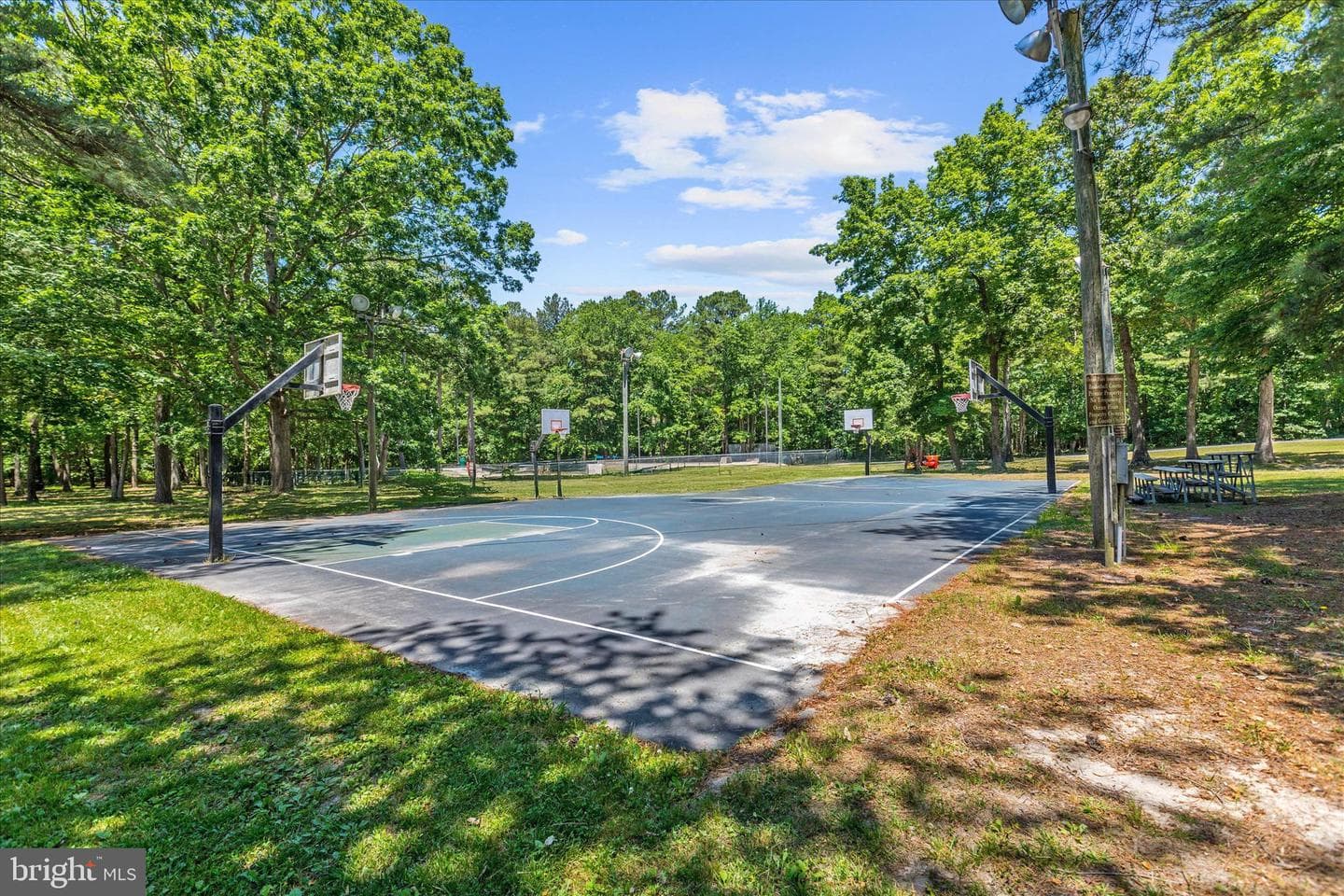 11 Burr Hill Dr photo 65