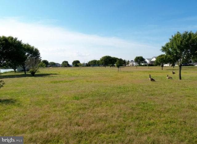 105 Assateague Court photo 29