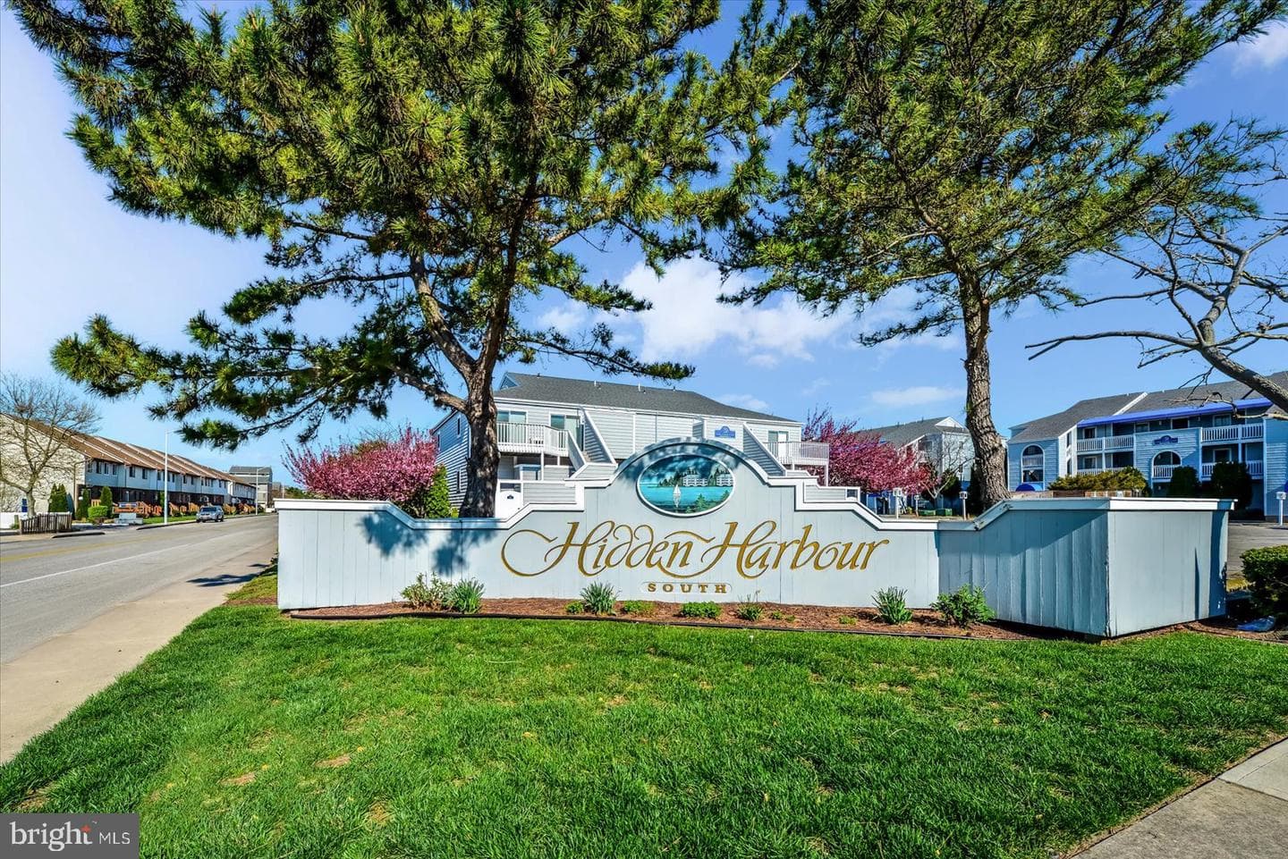 12301 Jamaica Avenue #337k photo 34