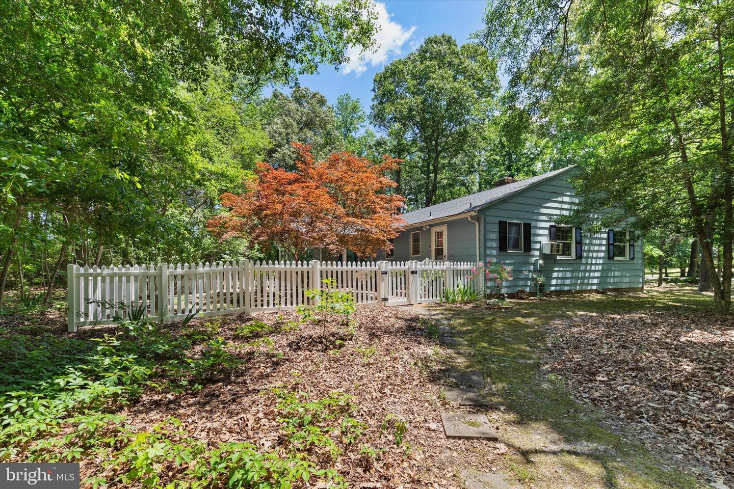 3821 Nassawango Hills Drive photo 44