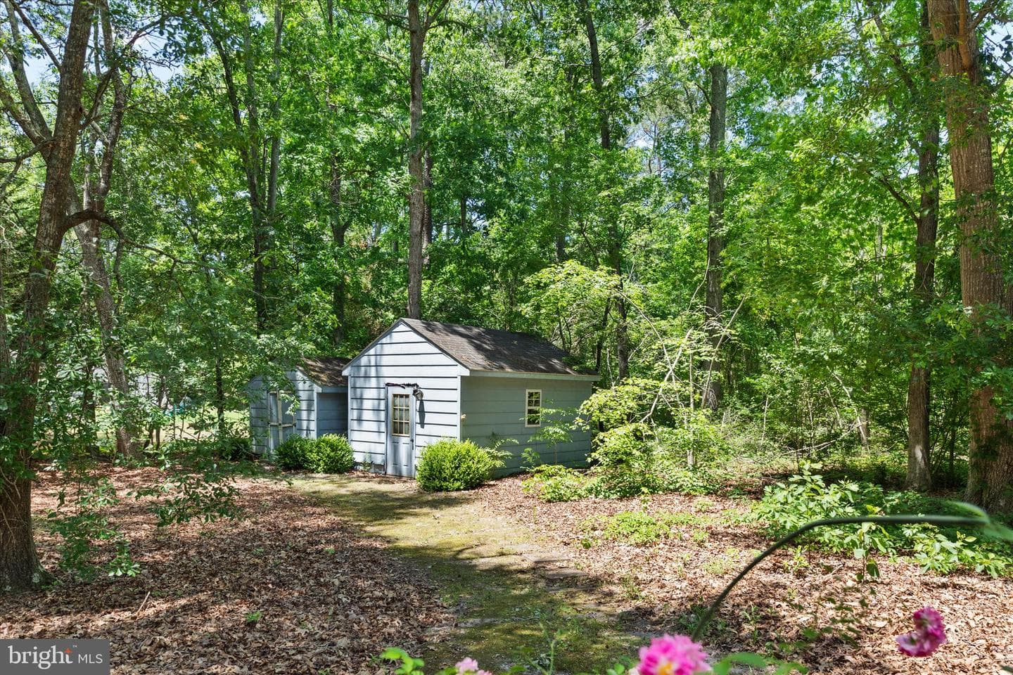 3821 Nassawango Hills Drive photo 45