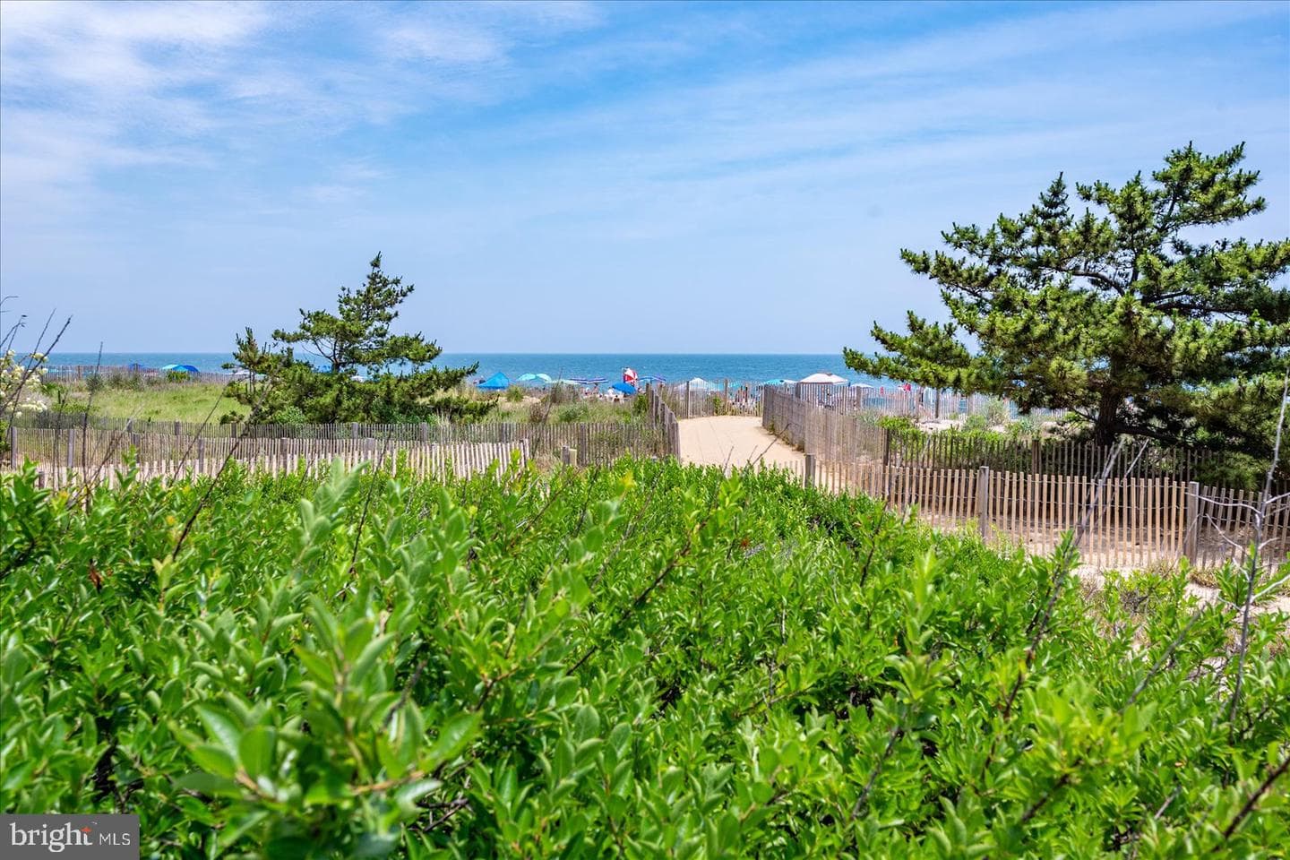 11500 Coastal Highway #112 photo 66