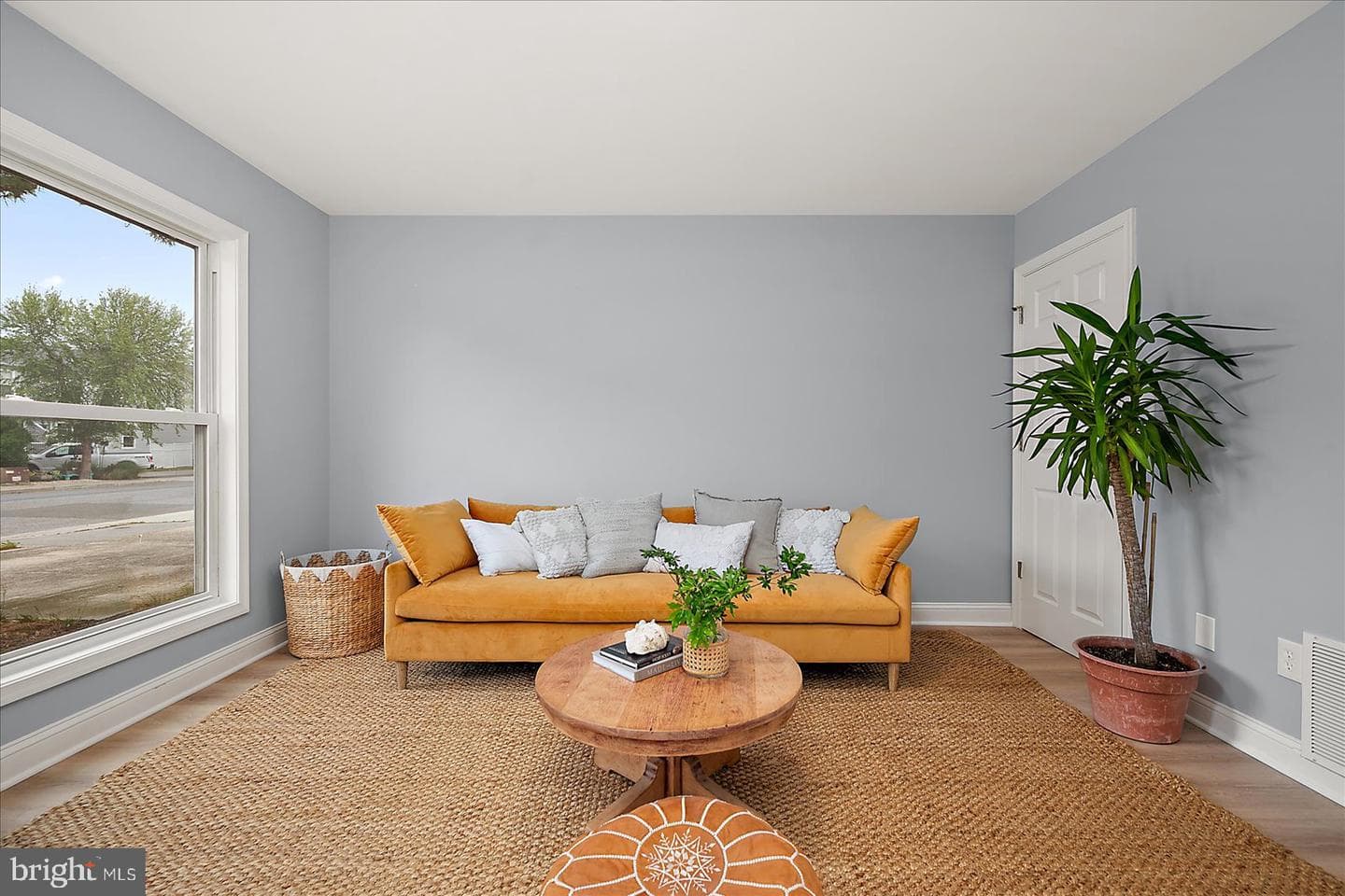 135 Jamestown Road #18a photo 14