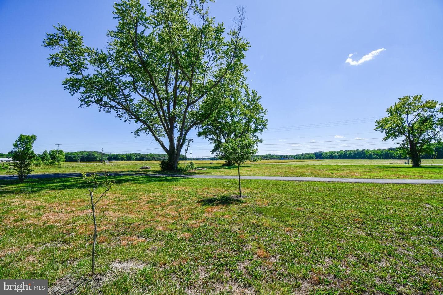 11006 Mumford Road photo 5