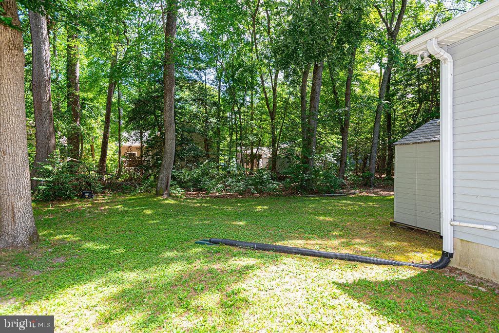 43 Briarcrest Drive photo 5