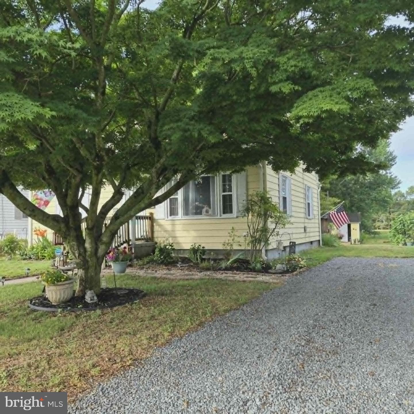 1008 Cedar Street photo 3