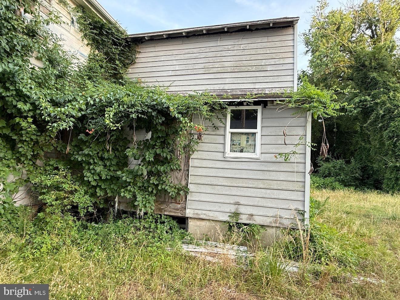 808 2nd Street photo 8