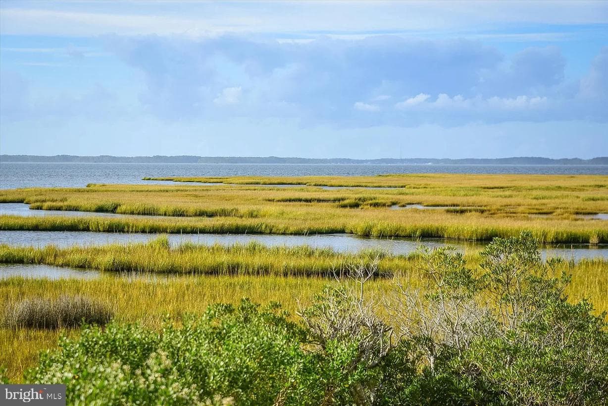 113 79th Street #6 photo 35