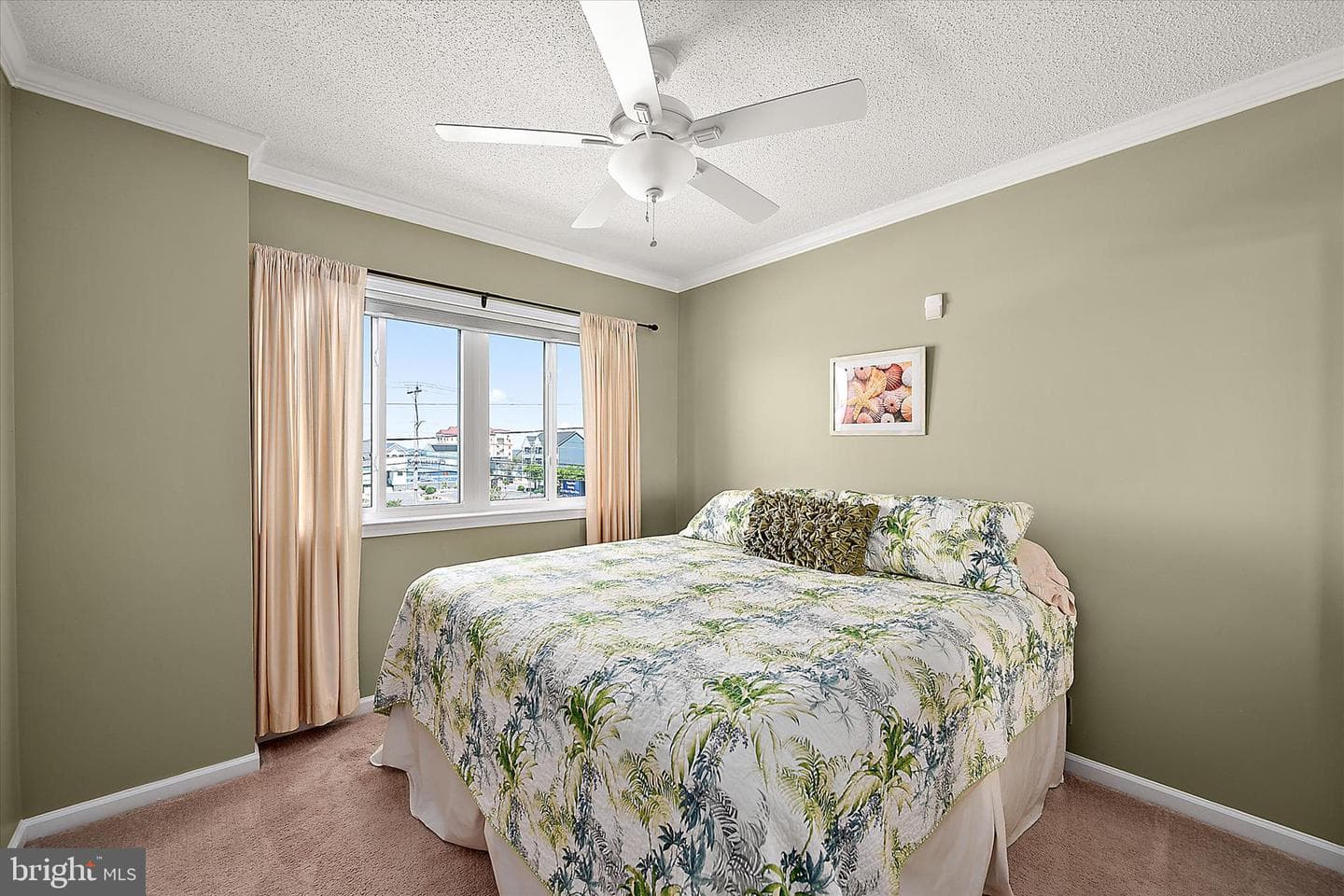 7402 Coastal Highway #204 photo 19